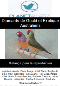 Planet Aviary- Melange-elevage-gould6.jpg
